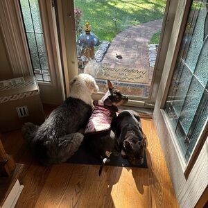 Unlisted Givvy Winner